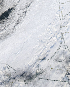 Спутниковый снимок  Куршский и Калининградский залив 2022-01-12