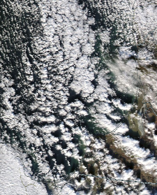 Спутниковый снимок  Куршский и Калининградский залив 2022-01-17