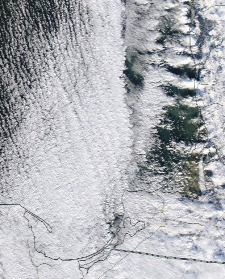Спутниковый снимок  Куршский и Калининградский залив 2022-01-21