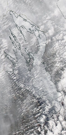 Спутниковый снимок Онежского озера 2022-05-02