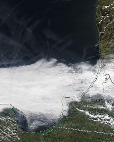 Спутниковый снимок  Куршский и Калининградский залив 2022-05-08