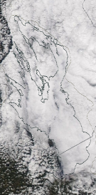 Спутниковый снимок Онежского озера 2022-05-20