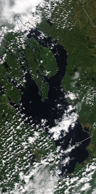 Спутниковый снимок Онежского озера 2022-06-13