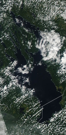 Спутниковый снимок Онежского озера 2022-08-01