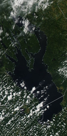 Спутниковый снимок Онежского озера 2022-08-04