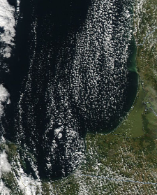 Спутниковый снимок  Куршский и Калининградский залив 2022-10-03