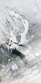 Спутниковый снимок Онежского озера 2023-01-21