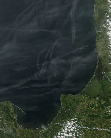Спутниковый снимок  Куршский и Калининградский залив 2023-05-27