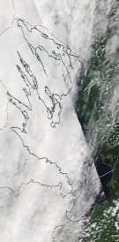 Спутниковый снимок Онежского озера 2023-05-31