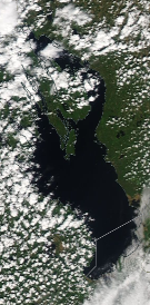 Спутниковый снимок Онежского озера 2023-06-02