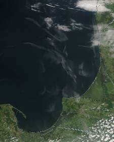 Спутниковый снимок  Куршский и Калининградский залив 2023-06-04